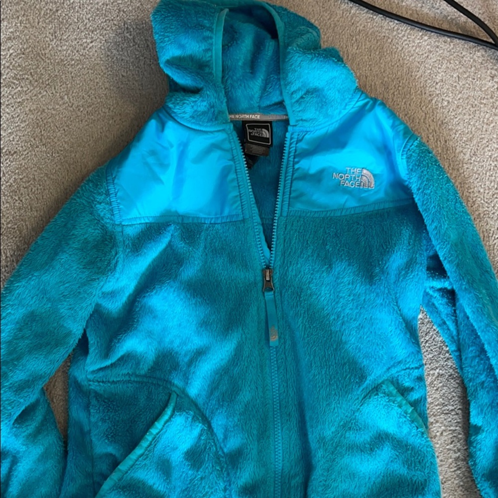 Blue North Face Jacket